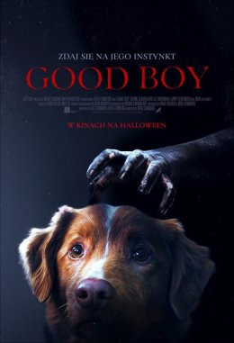 Skierniewice Wydarzenie Film w kinie Good Boy